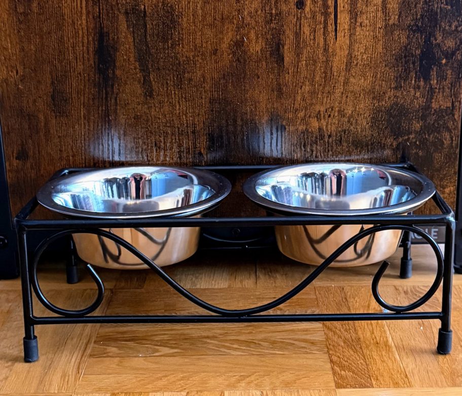 Kleine Hunde sind willkommen!