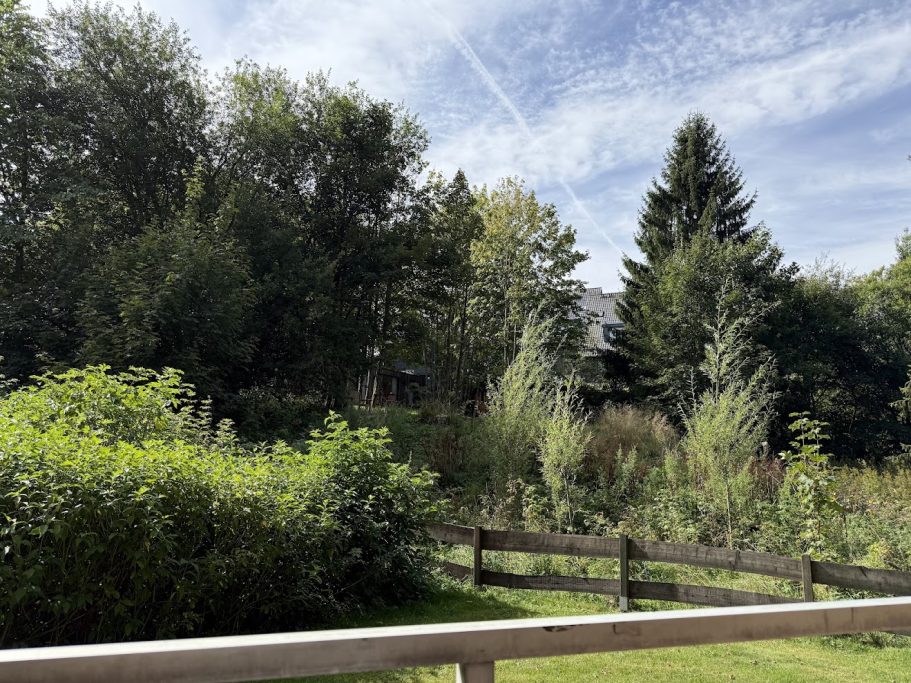 Blick vom Balkon Blick ins Grüne